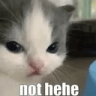 :not_hehe: