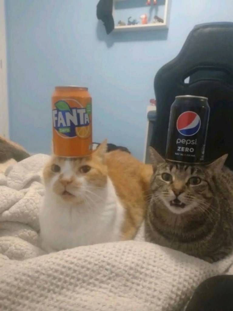 bruh