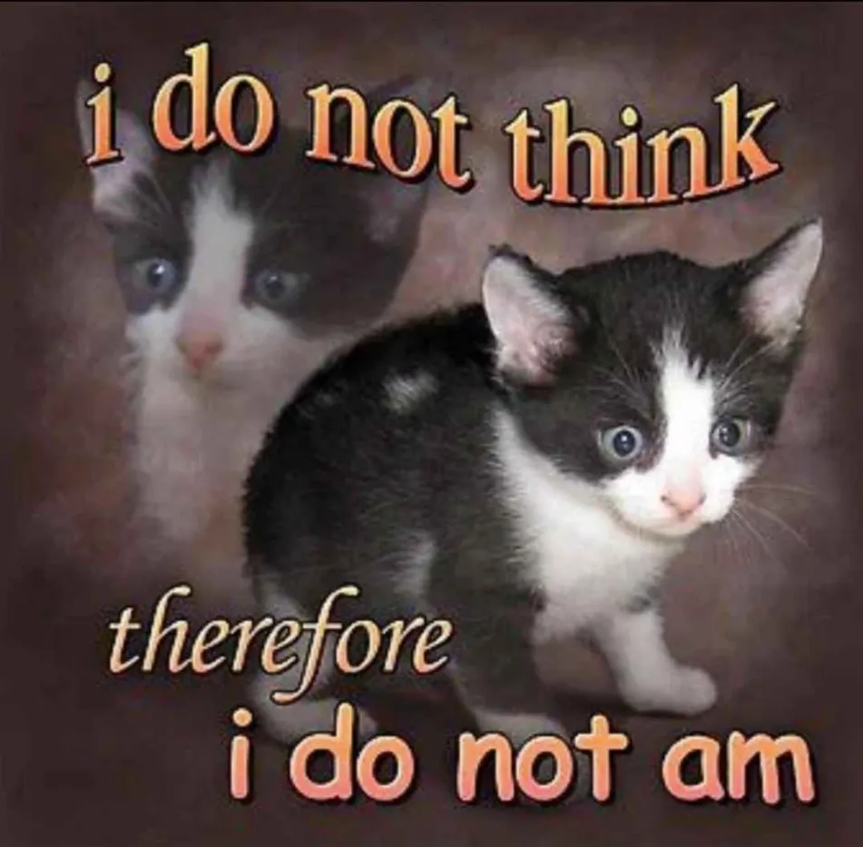 Testing out an image post